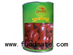 canned red kidney beans in tomato sauce