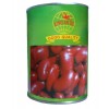 canned red kidney beans in tomato sauce