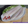 Pangasius Fillet Welltrimmed