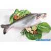 Whole Pangasius