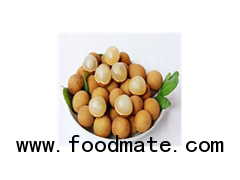 Fresh Longan Fruits