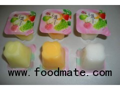 Assorted Fruit Pudding