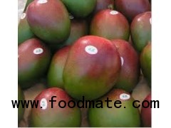 mangoes from Peru