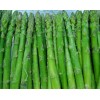 selling fresh asparagus