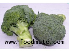 selling fresh broccoli