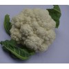 selling fresh cauliflower