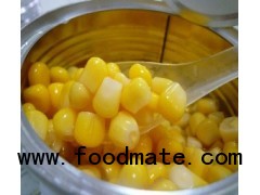 Chinese Canned Baby Corn Whole