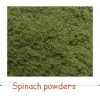 spinach powders