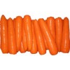 Fresh Carrot from shandong