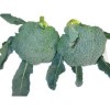 Fresh Broccoli from Shandong