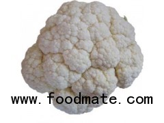 Fresh Cauliflower from Shandong
