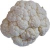 Fresh Cauliflower from Shandong