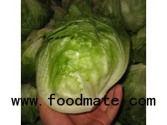 Fresh Iceberg Lettuce