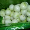 Fresh Onion from Shandong