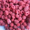 IQF Raspberry