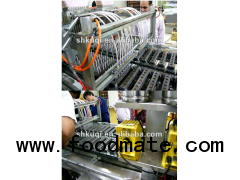 KQ/GD150 Automatic Lollipop Production line