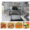 KQ150 Jelly/Gummy Candy Production Line