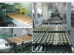 CE full automatic biscuit production line A