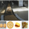 Hard & Soft Biscuit Making Machine in China