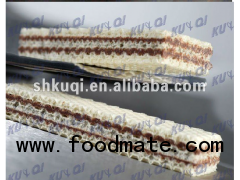 Complete Wafer Production Line