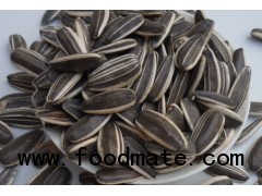 sell sunflower seeds 5009