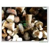 Frozen Boletus Edulis (Kind Bolete) Whole Mushroom Grade A(4-6CM) 121103