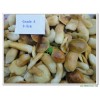 Boletus Edulis in brine Whole Mushroom Grade A(2-3CM) 141106