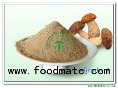 Boletus Edulis Powder Grade A(100mesh) 171123