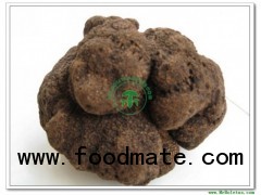 Fresh Black Truffle(Fresh Tuber Indicum)-Whole Mushroom