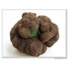 Fresh Black Truffle(Fresh Tuber Indicum)-Whole Mushroom