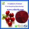 High Quality Natural Cranberry Extract