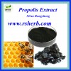 Best Selling Pure Propolis