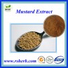 High Quality Natural Mustard Extract