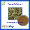 Best Selling Natural Fennel Extract
