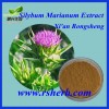 Best Selling Natural Silybum Marianum Extract