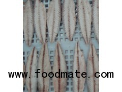 precooked mackerel fillets-scomber japonicus