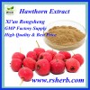 Best Selling Natural Hawthorn Extract