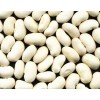 White Kidney Bean Extract,White Kidney Bean flavone