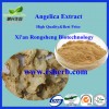Best Selling Angelica Extract