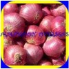 RED ONION AT THE MARKET