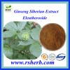 High Quality Hot Sale Siberian Ginseng Extract