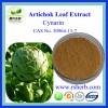High Quality Natural Artichoke Extract