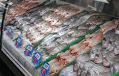 seafood markets