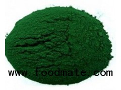 Spirulina Powder