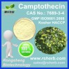 Best Selling Natural Camptothecin