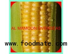 CANNED YELLOW MAIZE