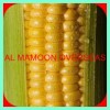 CANNED YELLOW MAIZE