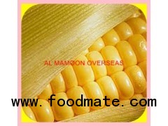 YELLOW MAIZE SOYA MEAL