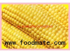 YELLOW MAIZE ANIMAL FEED