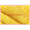 YELLOW MAIZE ANIMAL FEED